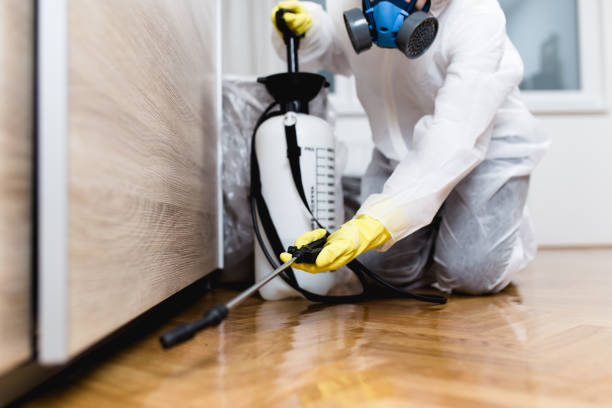 Best Affordable Pest Control Services  in Durham, OR