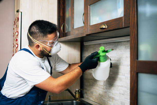 Best Commercial Pest Control Services  in Durham, OR