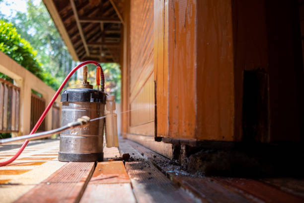 Best Affordable Pest Control Services  in Durham, OR