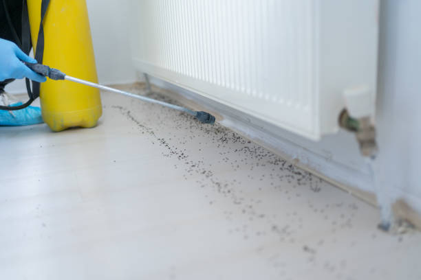 Best Affordable Pest Control Services  in Durham, OR
