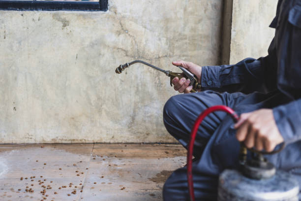 Best Wasp Removal Services  in Durham, OR
